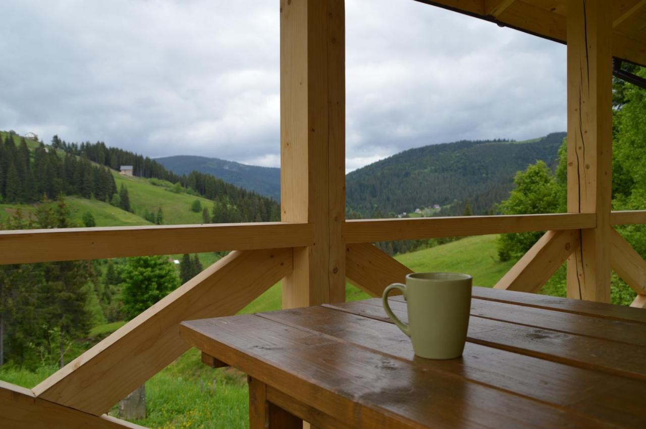 Villa Пагорб Їжака / Hedgehog Hill à Yablunytsya Extérieur photo