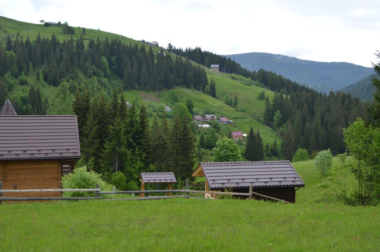 Villa Пагорб Їжака / Hedgehog Hill à Yablunytsya Extérieur photo